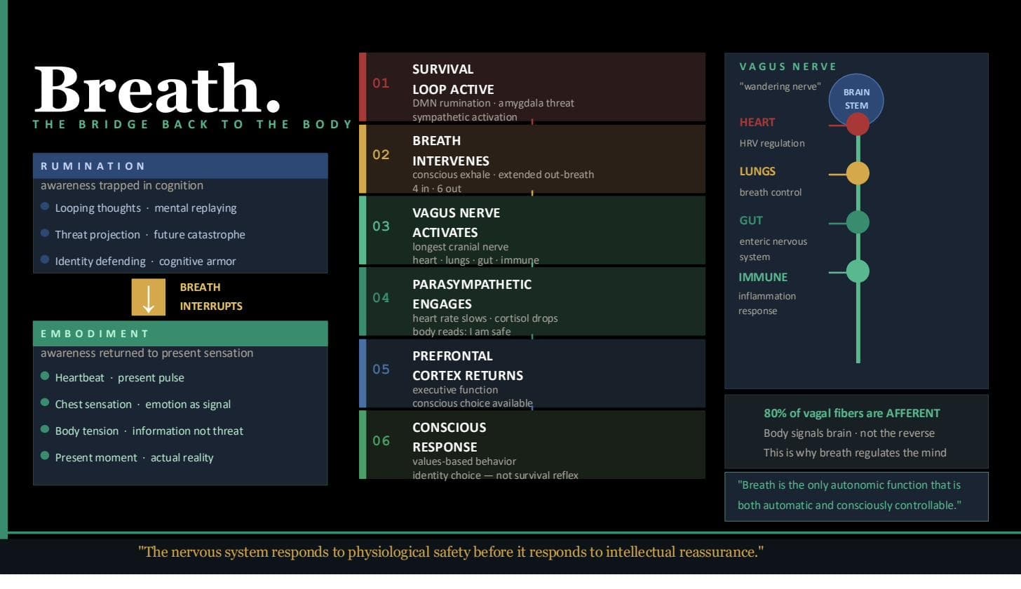 Breath — The Bridge Back to the Body: RYZR Regulation Method™ nervous system framework diagram